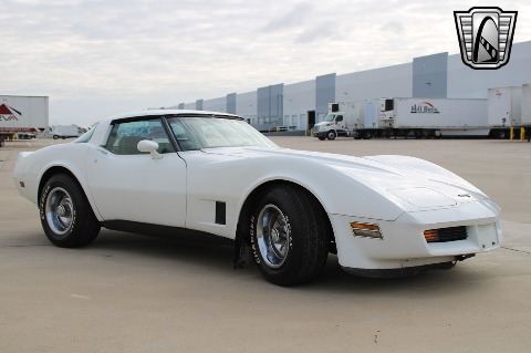 1981 Chevrolet Corvette image 23
