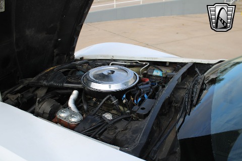 1981 Chevrolet Corvette image 75