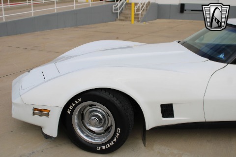 1981 Chevrolet Corvette image 28
