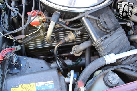 1981 Chevrolet Corvette image 81