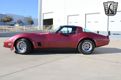 1981 Chevrolet Corvette image 8