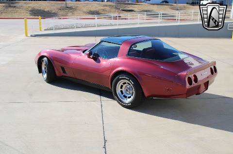 1981 Chevrolet Corvette image 9
