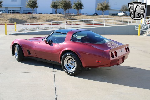 1981 Chevrolet Corvette image 10