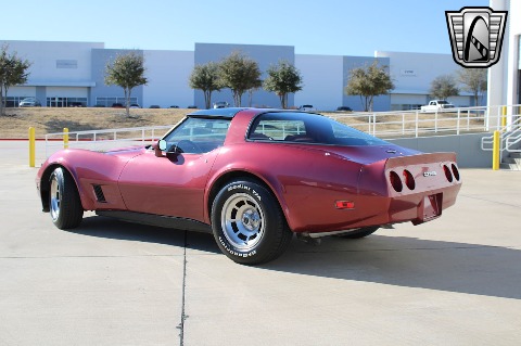 1981 Chevrolet Corvette image 11