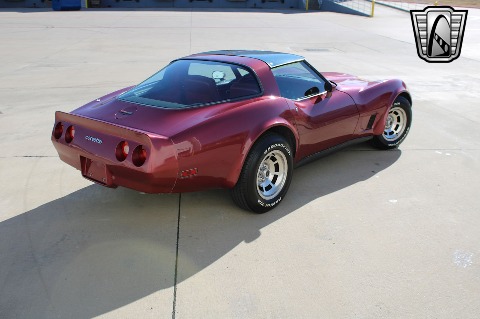 1981 Chevrolet Corvette image 15