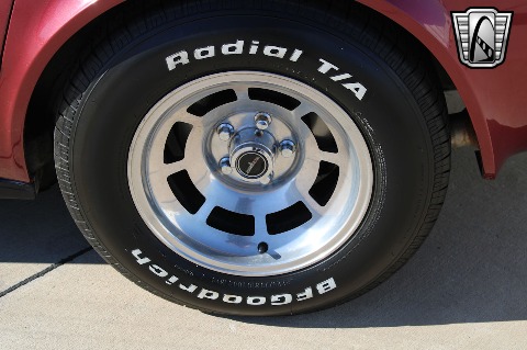 1981 Chevrolet Corvette image 96