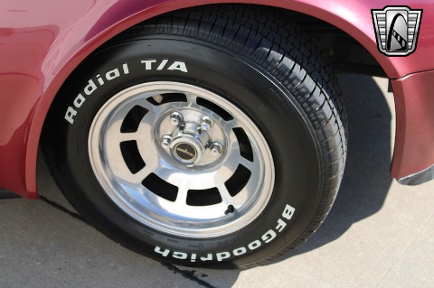 1981 Chevrolet Corvette image 98