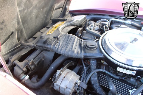 1981 Chevrolet Corvette image 77