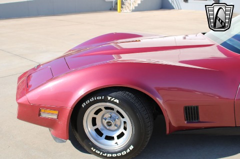 1981 Chevrolet Corvette image 28