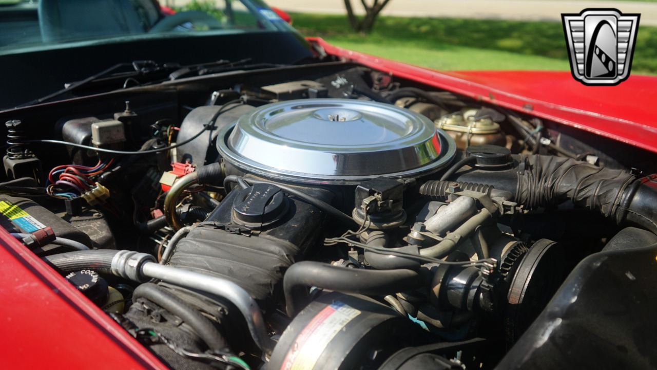 1981 Chevrolet Corvette 91