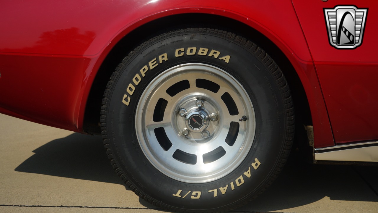 1981 Chevrolet Corvette 9