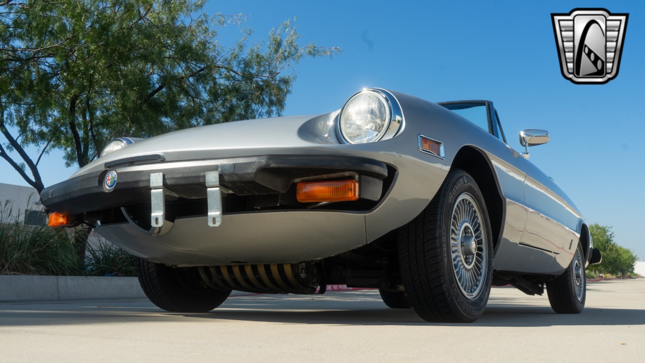 1976 Alfa Romeo Spider 31