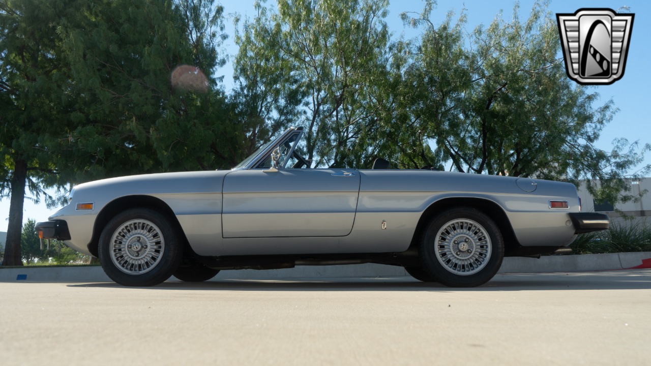 1976 Alfa Romeo Spider 3