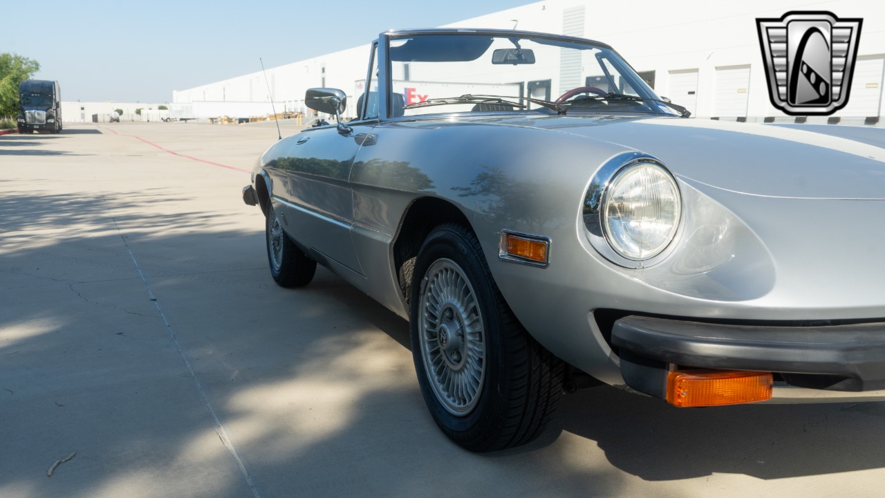 1976 Alfa Romeo Spider 55