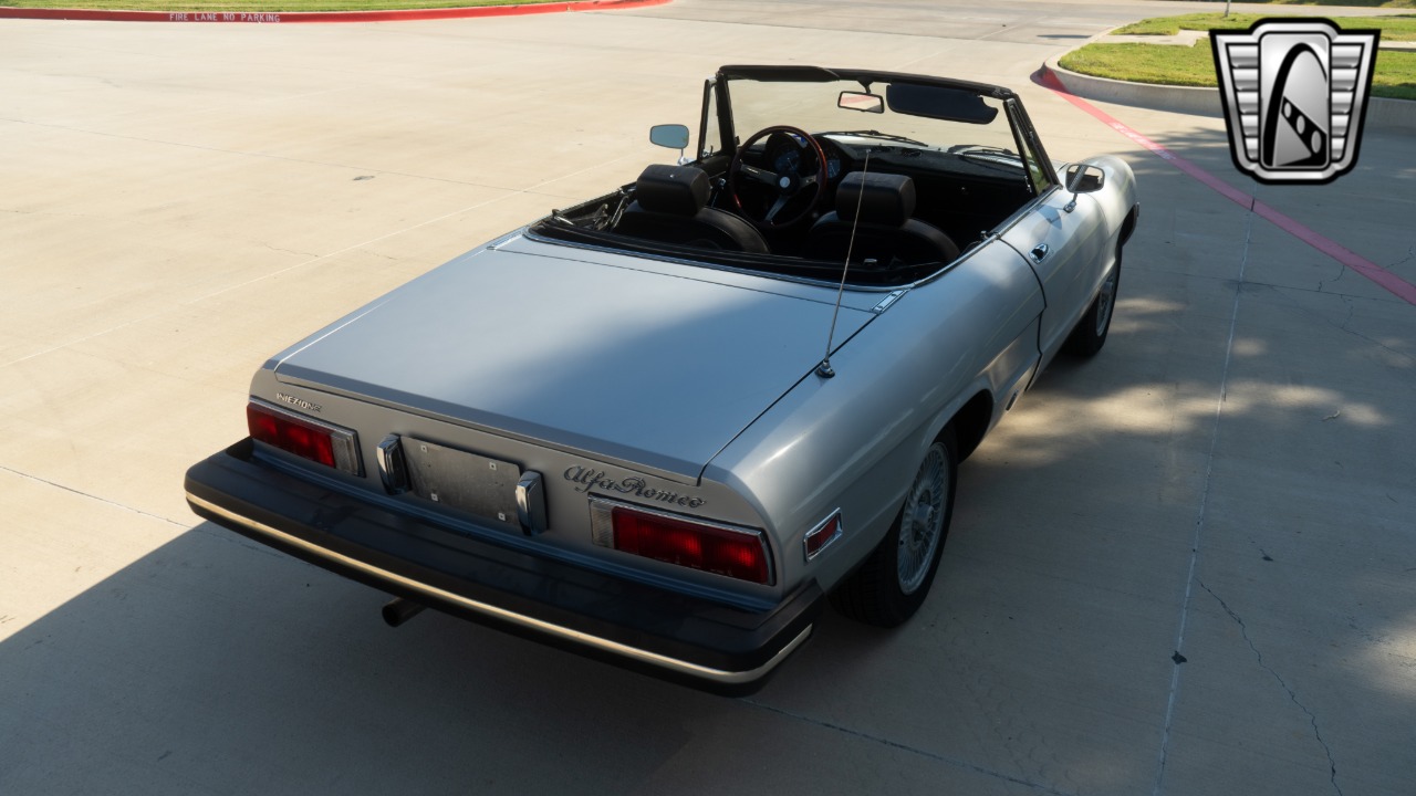 1976 Alfa Romeo Spider 39