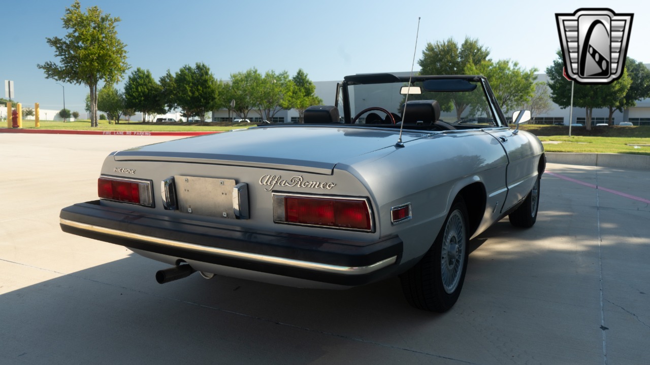 1976 Alfa Romeo Spider 40