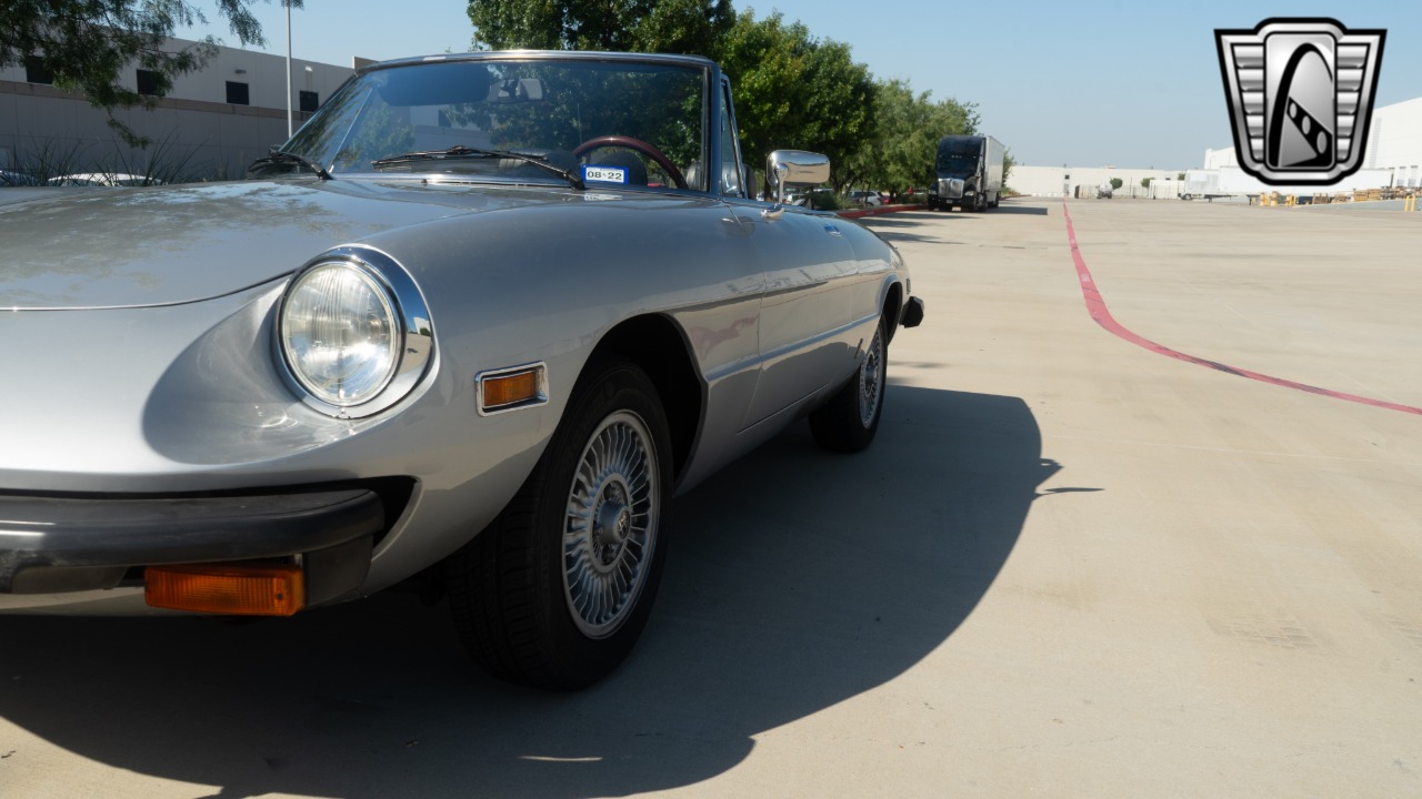 1976 Alfa Romeo Spider 49