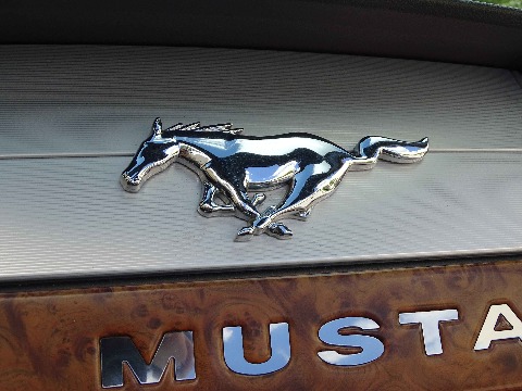 2006 Ford Mustang image 94