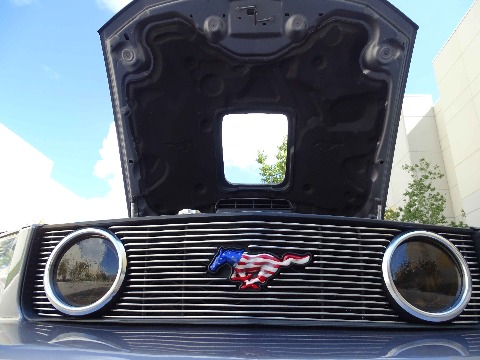 2006 Ford Mustang image 45