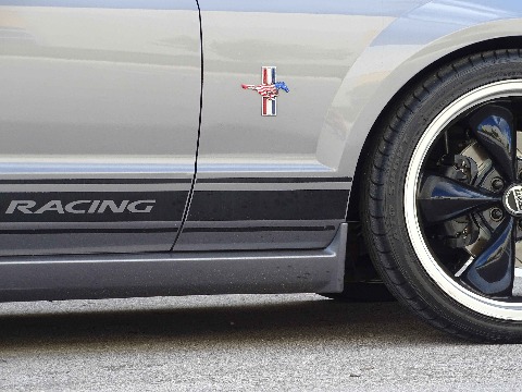 2006 Ford Mustang image 123