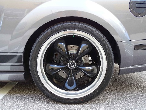 2006 Ford Mustang image 98