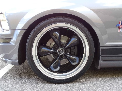 2006 Ford Mustang image 99