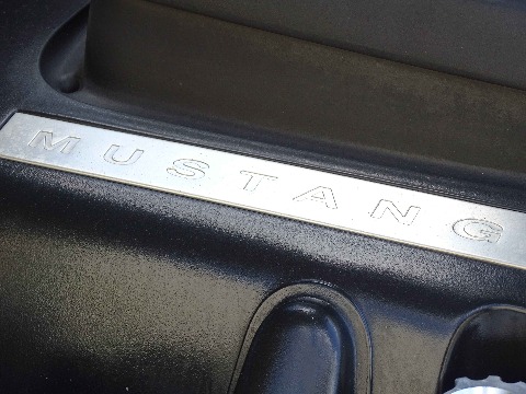 2006 Ford Mustang image 49