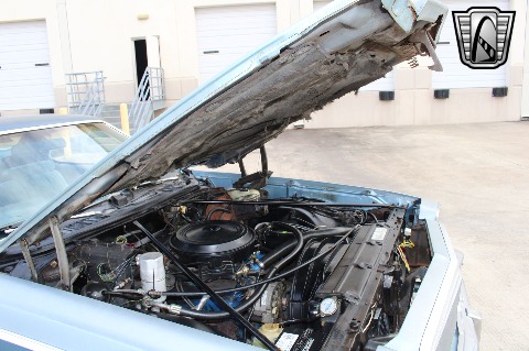 1977 Chevrolet El Camino image 93