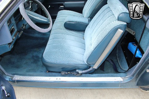 1977 Chevrolet El Camino image 119