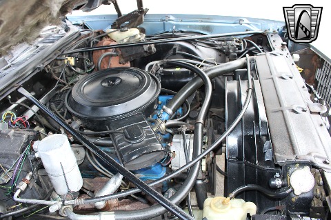 1977 Chevrolet El Camino image 94