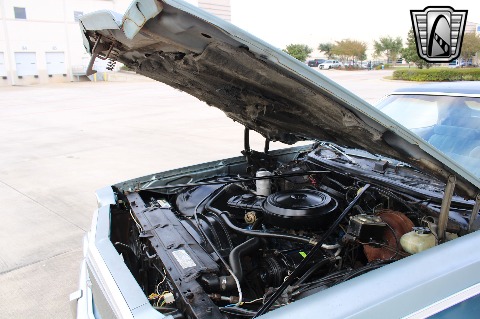 1977 Chevrolet El Camino image 99