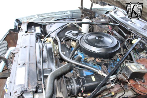 1977 Chevrolet El Camino image 100