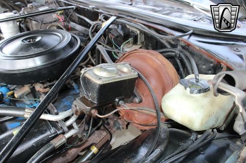 1977 Chevrolet El Camino image 102