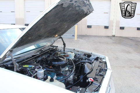 1980 Chevrolet Malibu image 84