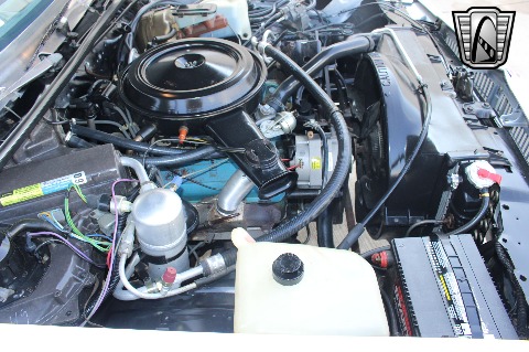 1980 Chevrolet Malibu image 86