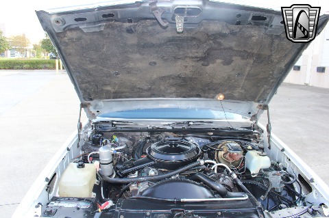 1980 Chevrolet Malibu image 87