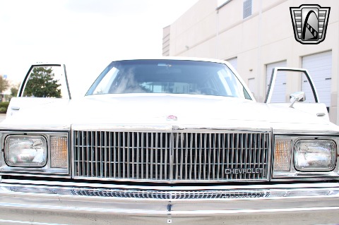 1980 Chevrolet Malibu image 143