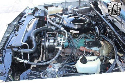 1980 Chevrolet Malibu image 92