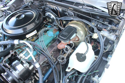 1980 Chevrolet Malibu image 93