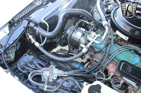 1980 Chevrolet Malibu image 94