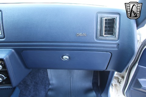 1980 Chevrolet Malibu image 121