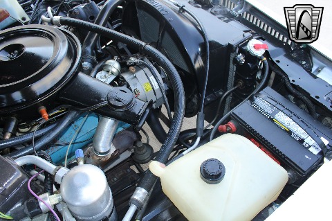 1980 Chevrolet Malibu image 97