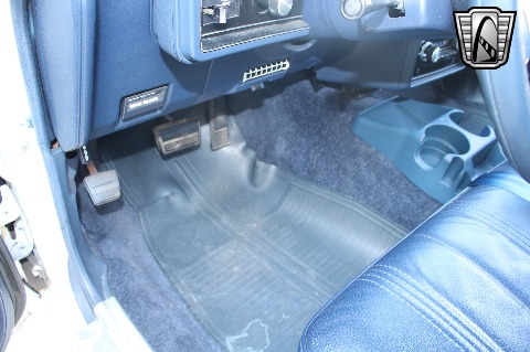 1980 Chevrolet Malibu image 102