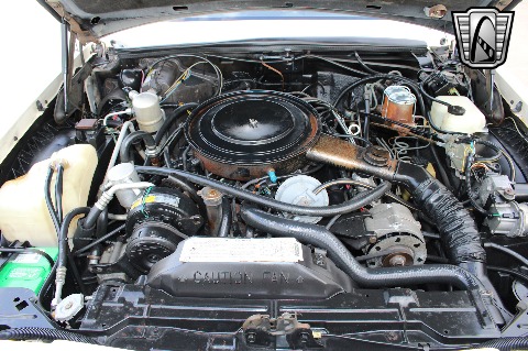 1983 Buick Riviera image 97