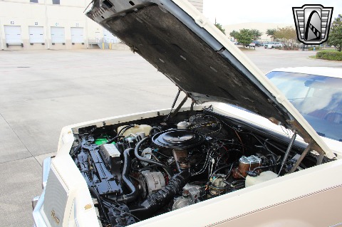 1983 Buick Riviera image 99