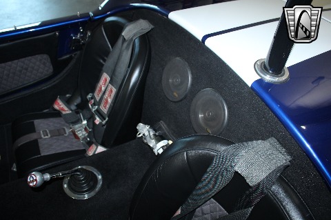 1965 Shelby Cobra Replica image 121