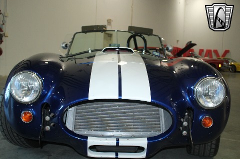 1965 Shelby Cobra Replica image 147