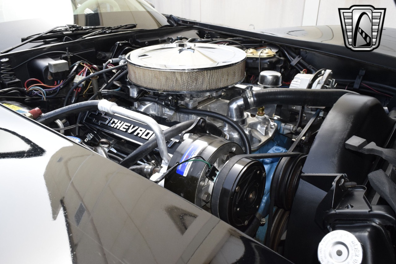 1980 Chevrolet Corvette 19