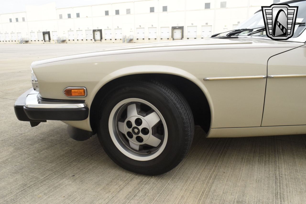 1984 Jaguar XJS 52