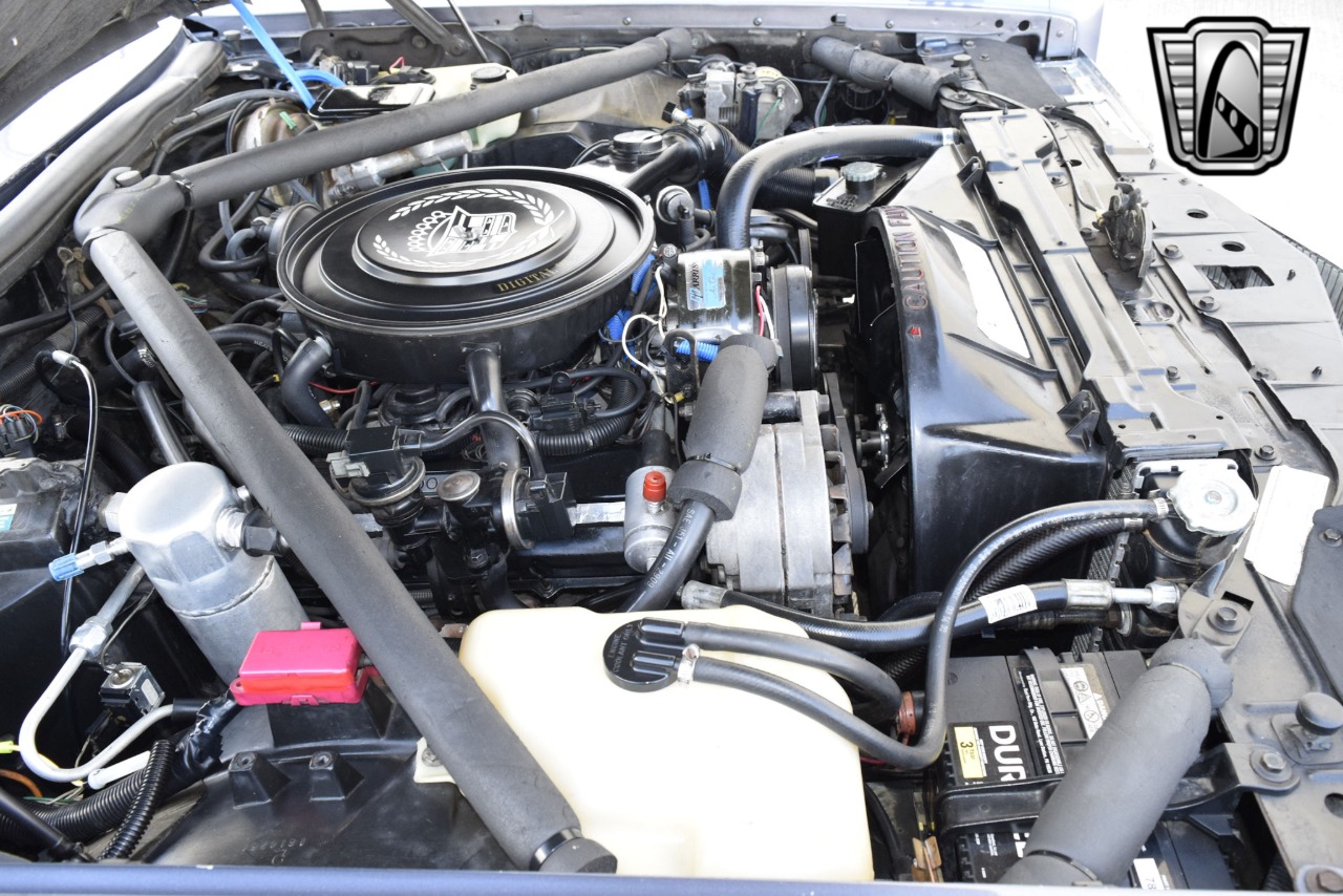 1984 Cadillac Eldorado 94